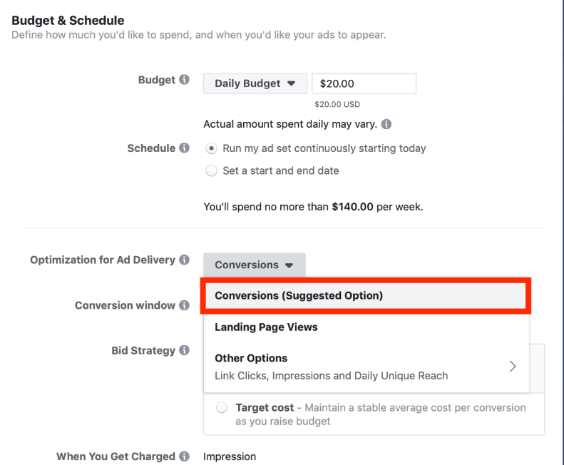 Dealer Teamwork- Image demonstrating how to choose "conversions" as an ad delivery option on Facebook Ad Manager.