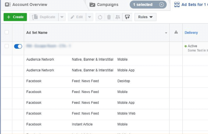 Dealer Teamwork- See ad placements under your ad set names in Facebook Ad Manager.