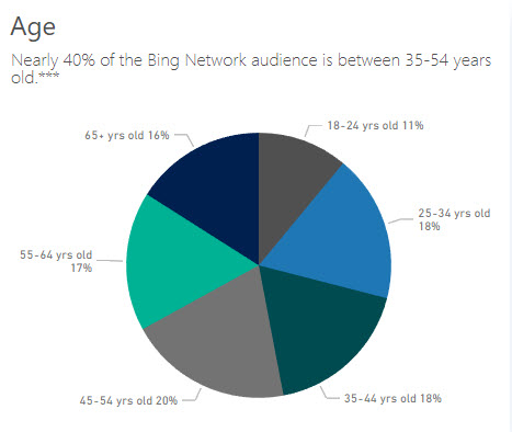 Microsoft Advertising Audience Age - Dealer Teamwork